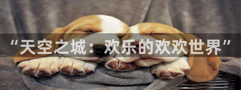 恒行5官网体验k88v典cc