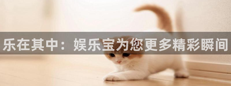 恒行5官网体验k88v典cc