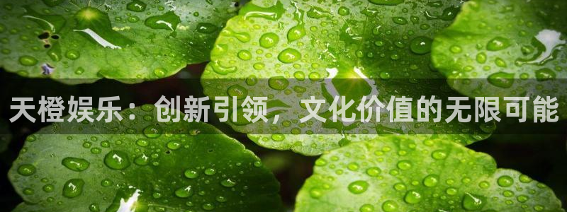 恒行5官网k88v店cc安全