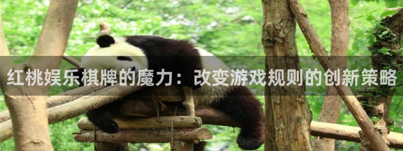 恒行5
