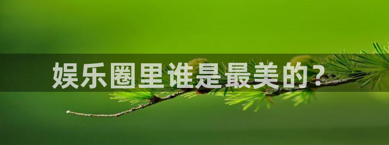 恒行5官网体验k88v典cc