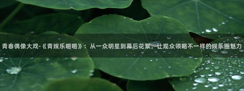 恒行5官网体验k88v典cc